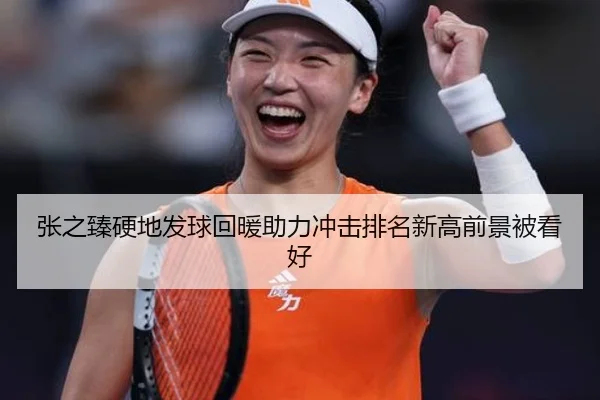 张之臻硬地发球回暖助力冲击排名新高前景被看好 - B-OneSports